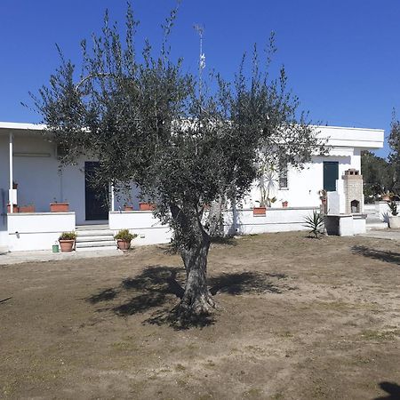 Casa Vacanza Fiorella Torre dell'Orso Pokój zdjęcie
