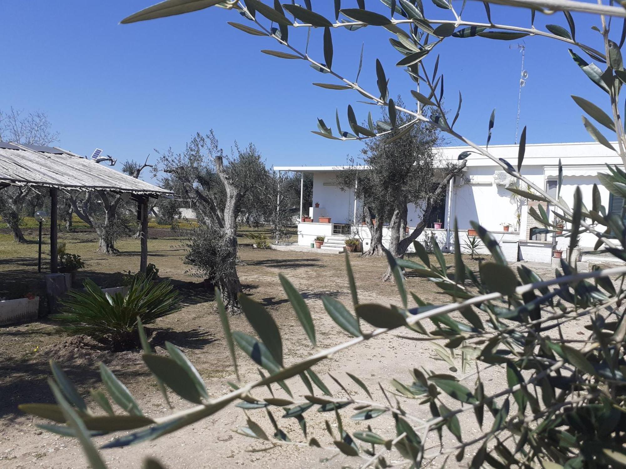 Casa Vacanza Fiorella Torre dell'Orso Pokój zdjęcie
