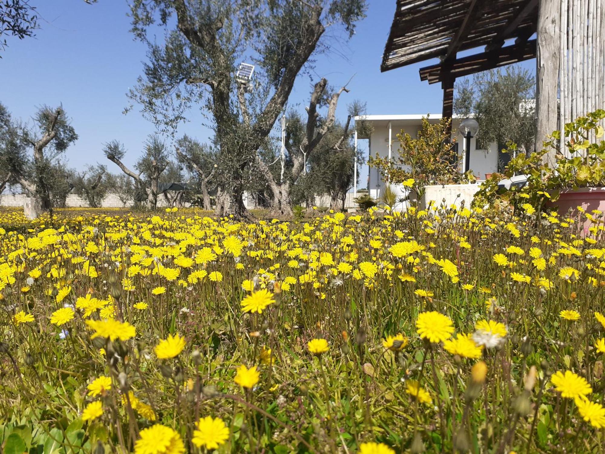 Casa Vacanza Fiorella Torre dell'Orso Pokój zdjęcie