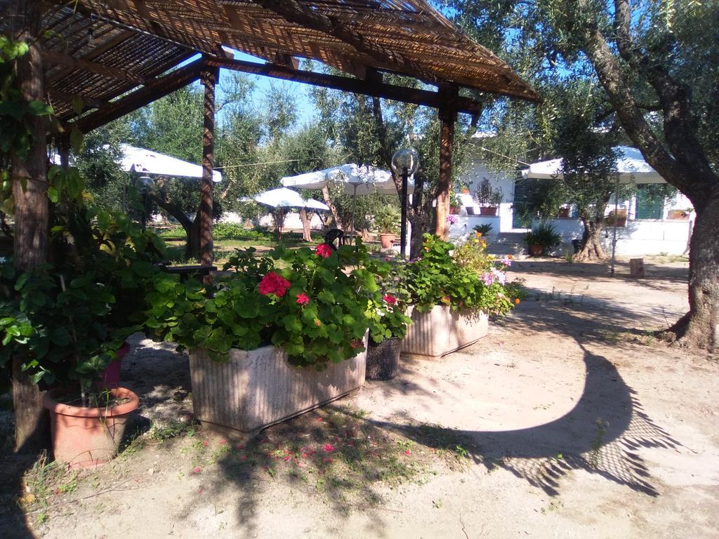 Casa Vacanza Fiorella Torre dell'Orso Zewnętrze zdjęcie