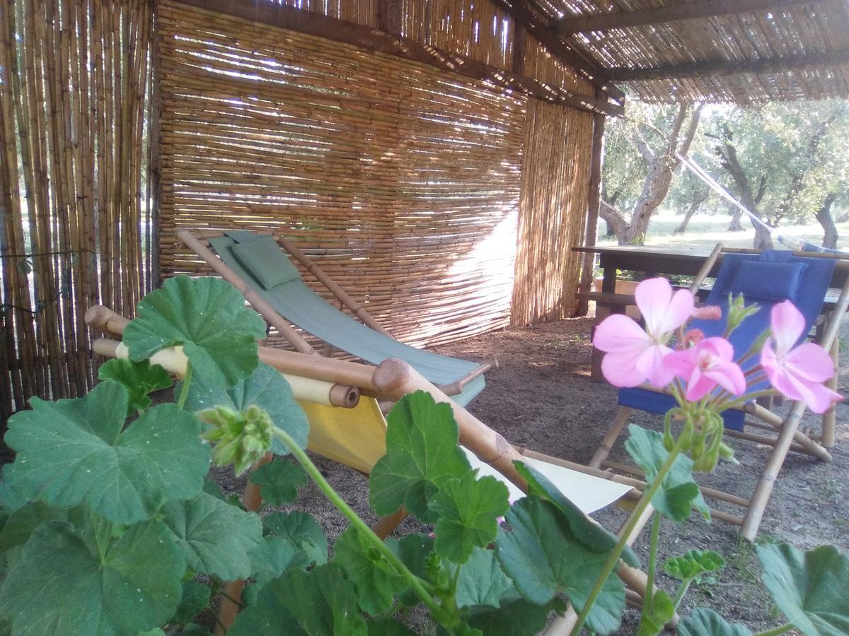Casa Vacanza Fiorella Torre dell'Orso Zewnętrze zdjęcie
